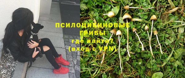 первитин Алзамай