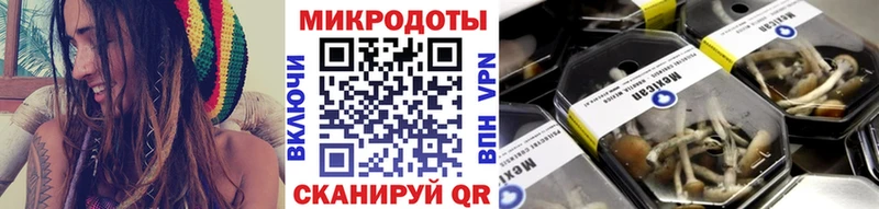 Галлюциногенные грибы ЛСД  Алзамай 