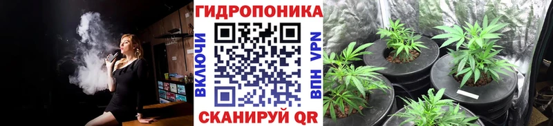 blacksprut зеркало  Алзамай  Шишки марихуана MAZAR  цены  